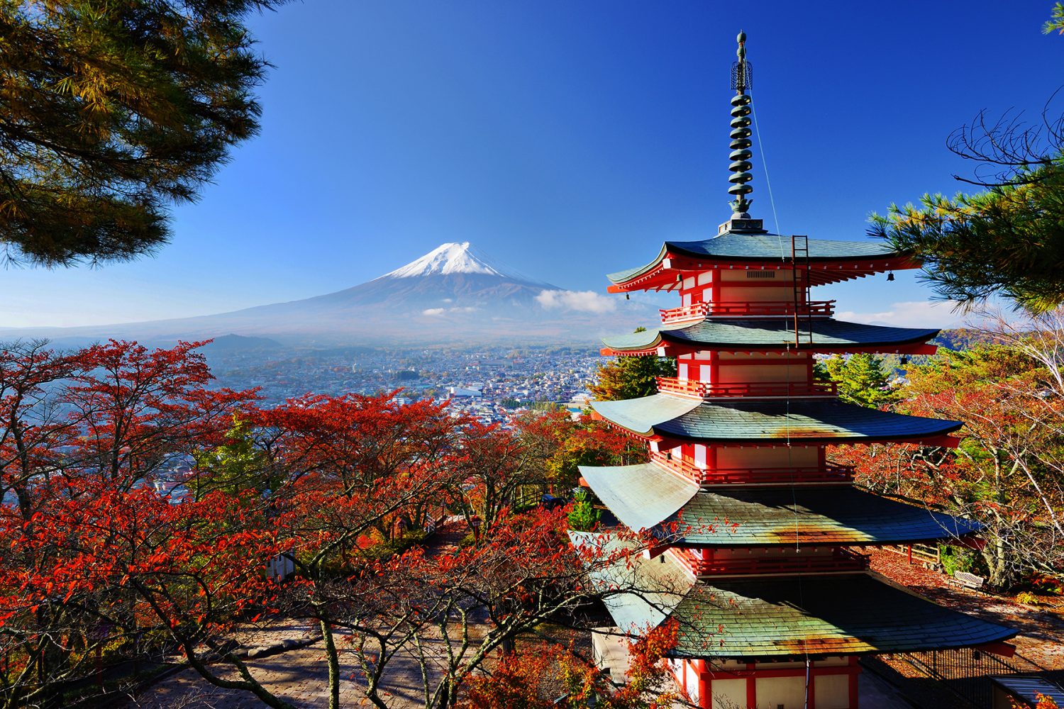 japan and korea tours from canada